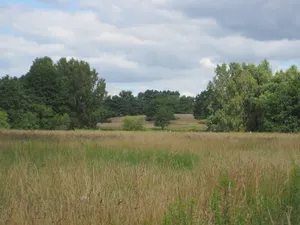 Herrnburger Binnendüne und Duvennester Moor