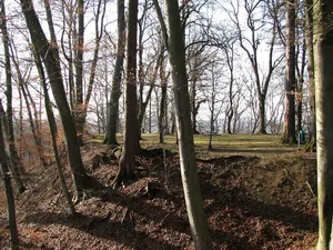 Burgstall Engelsberg