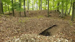 Burgstelle Bol