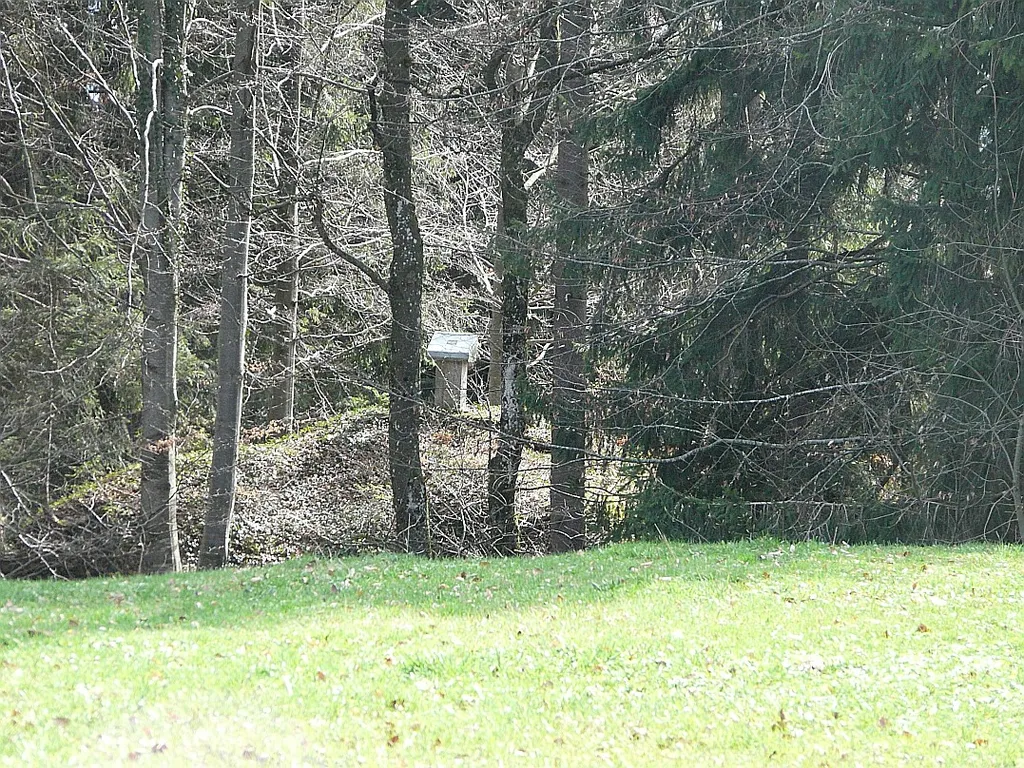 Burgstall mit Gedenktafel von Osten (Strasse)