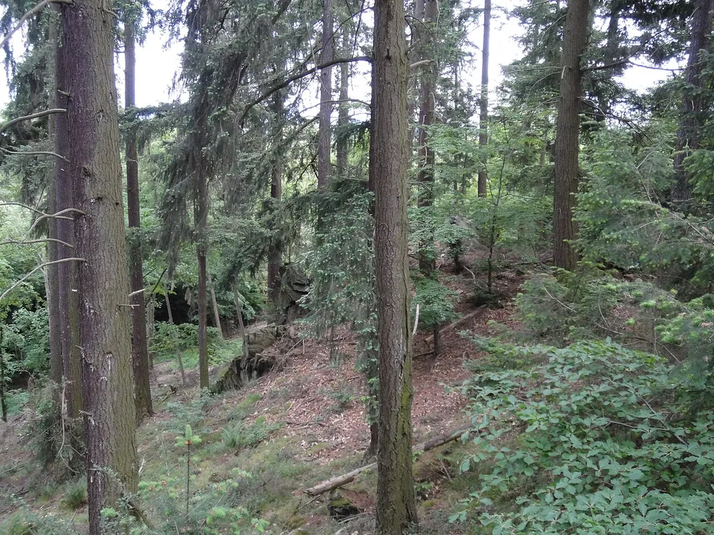 Sporn des Berges Würzburg bei Wiesbaden