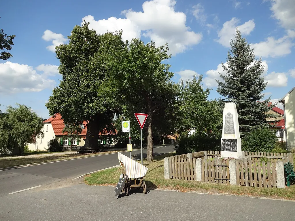 Naturdenkmal Linde an der Kirche in Ließen