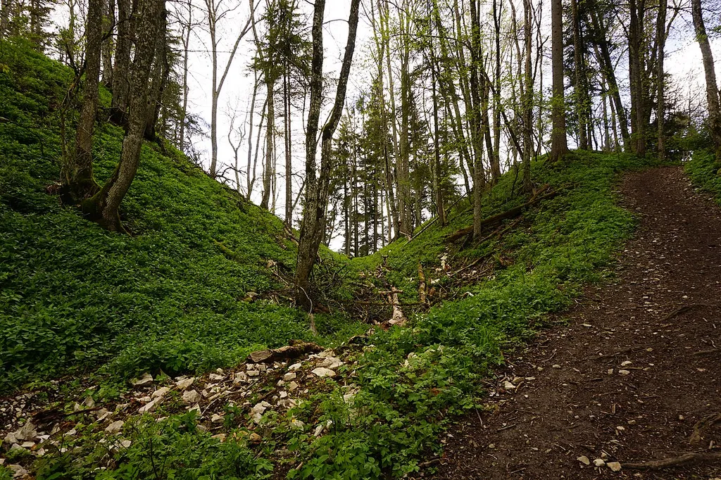 Östlicher Burggraben
