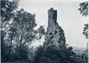 Bistrica Castle