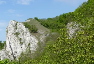 Burgstall Neuhaus (Klentnice)