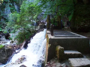 Profil in der Pöllat-Schlucht E von Hohenschwangau