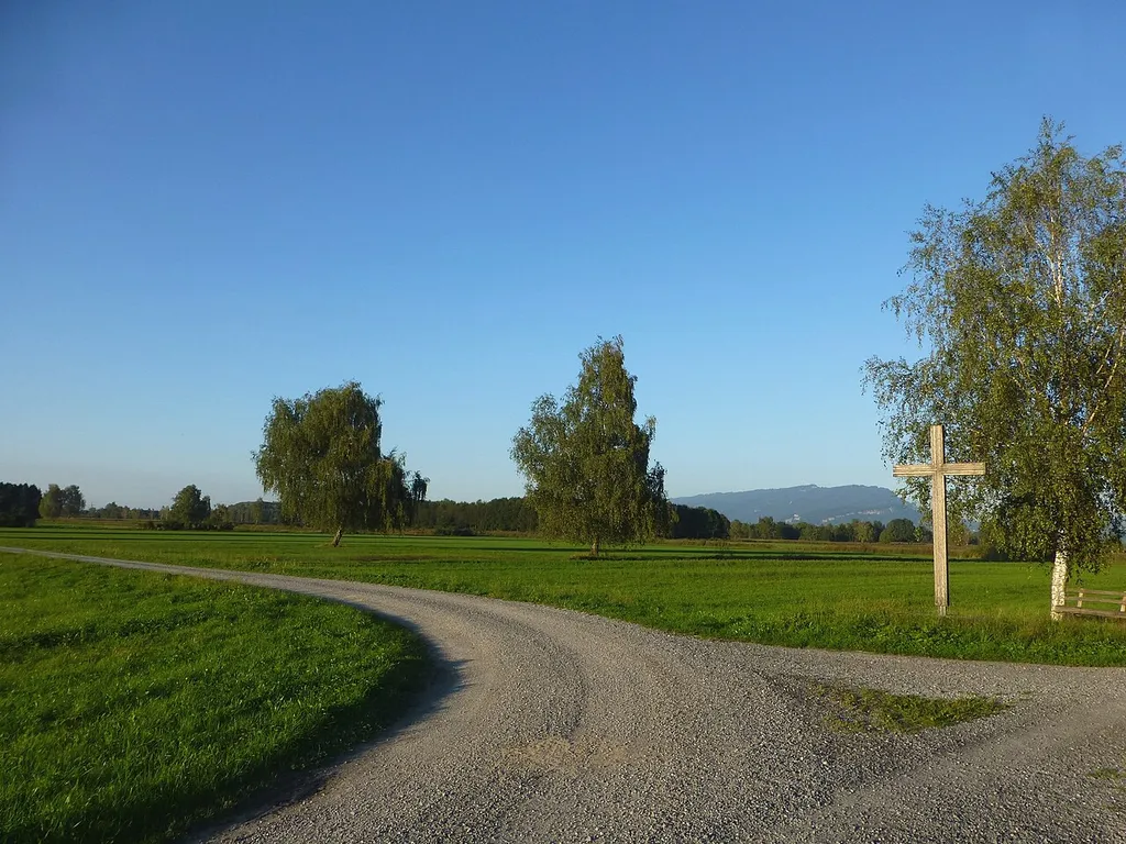 Europaschutzgebiet Soren, Gleggen–Köblern, Schweizer Ried und Birken–Schwarzes Zeug