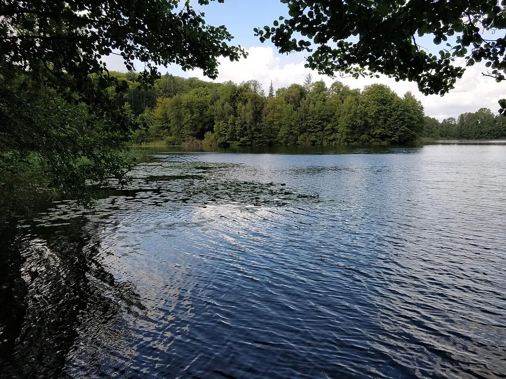 Lankauer See