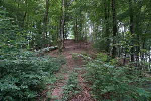 Bürgle