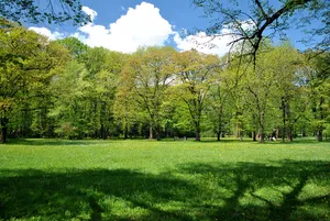 Castle park in Żywiec