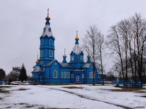 Orthodox church of the Nativity of Our Lady in Paviccie
