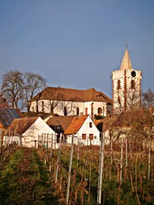 Martinskirche