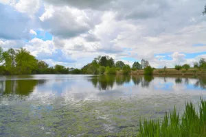 Burghofweiher bei Langerringen