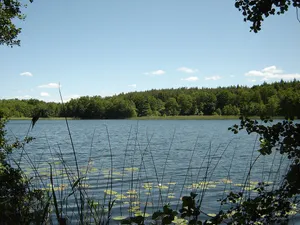 Entensee