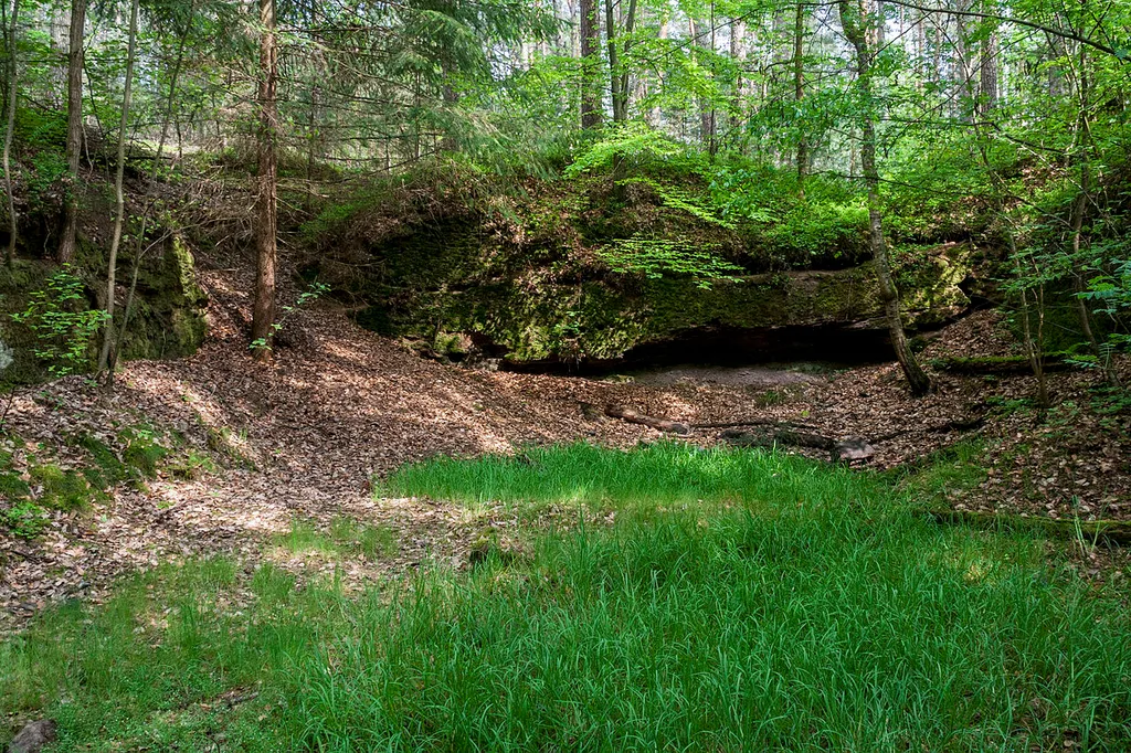 Fürther und Zirndorfer Stadtwald