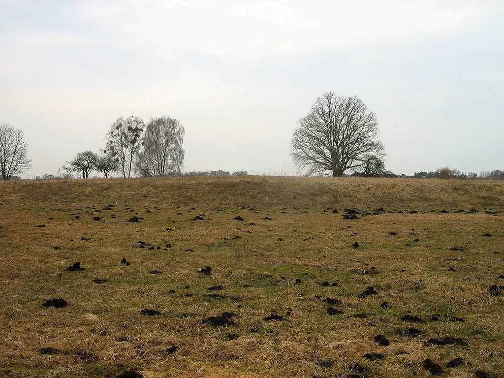 Slawischer Burgwall Hühnerwinkel, bei Plöwen (Landkreis Ucker-Randow in Vorpommern).Im Bild: Die Hauptburg.