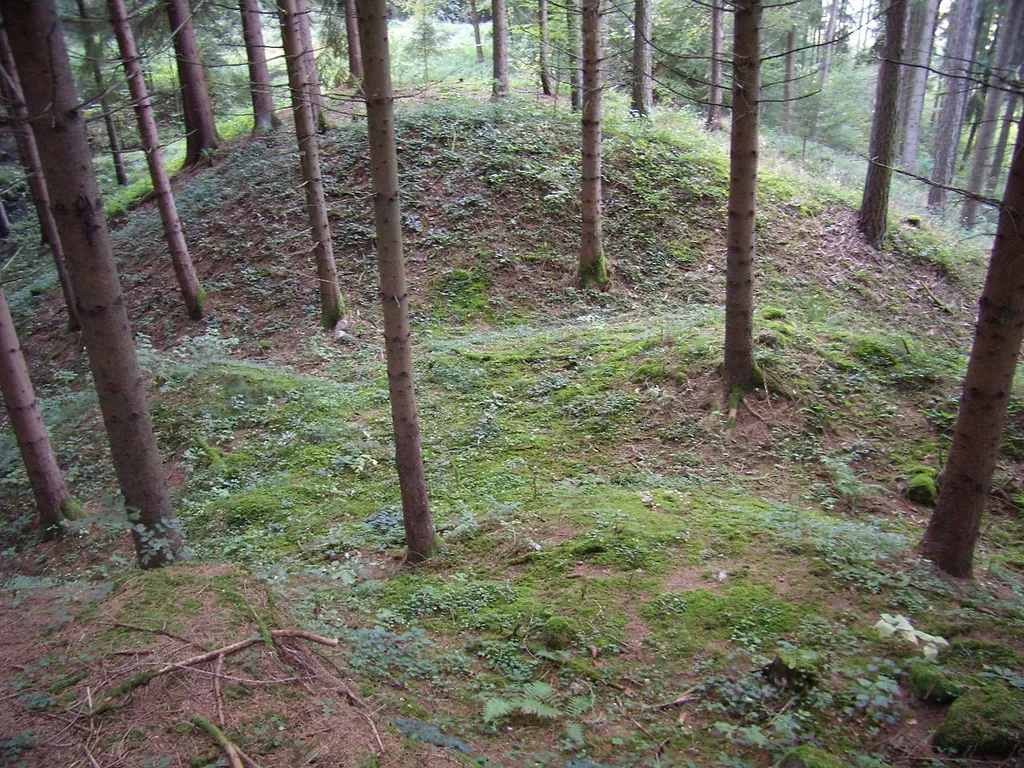Burgstall Schaunberg