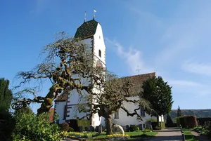 Reformed Mountain Church