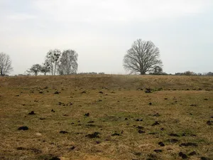 Burgwall Hühnerwinkel