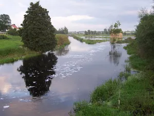 Tollensetal (Mecklenburgische Seenplatte)