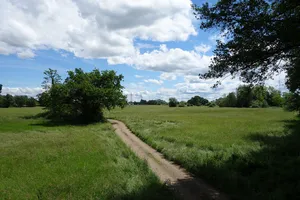 Pechgraben bei Klein-Krotzenburg