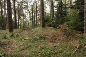 Burgstall Hohenrasch