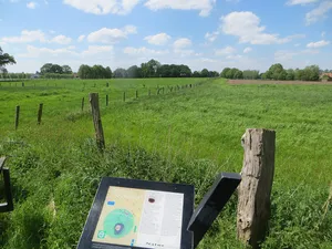 Alt Krickenbeck