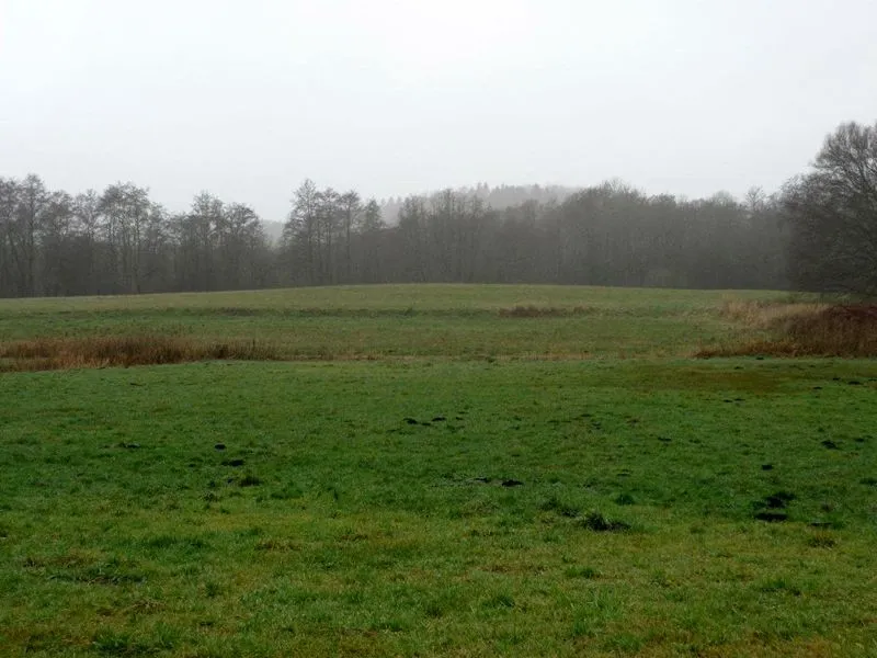 Burgwall Reddershof