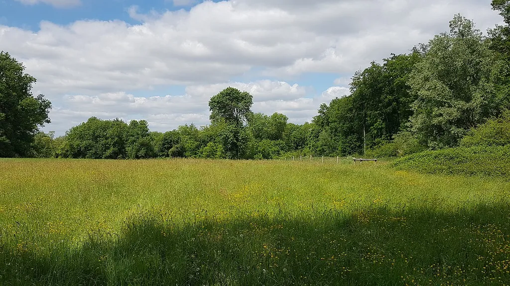 grenspaal 53a tussen België-Nederland, Maastricht-Petit-Lanaye