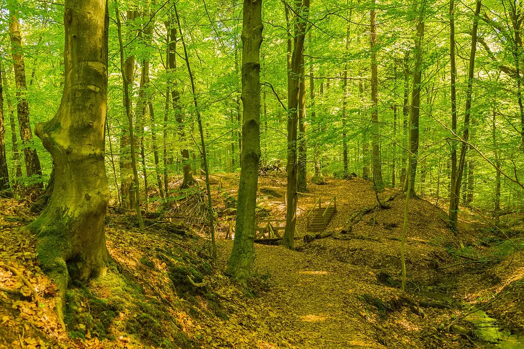 Maiburg