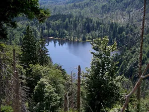 Nationalpark Bayerischer Wald