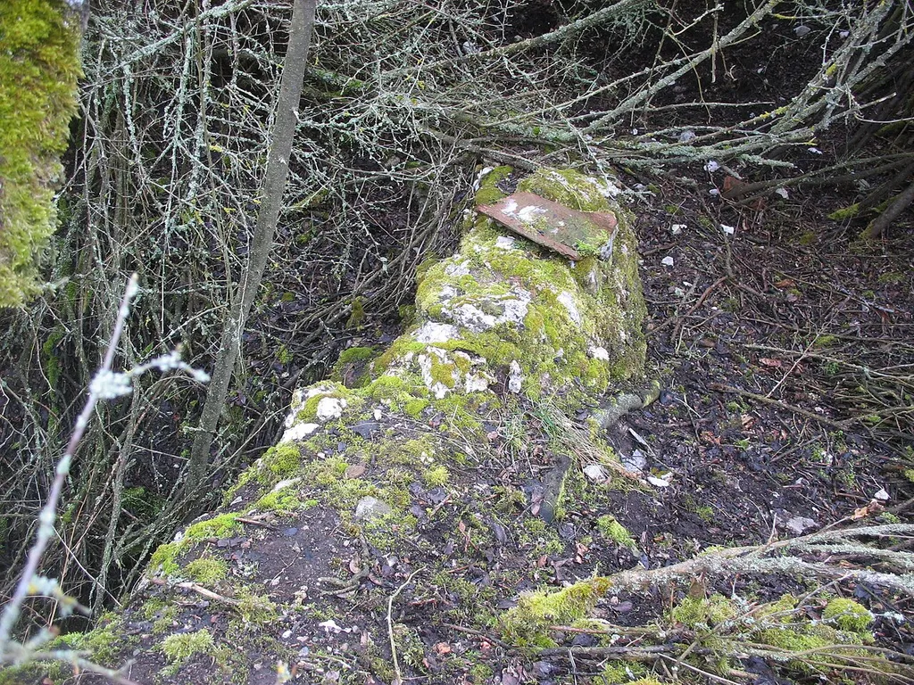 Reste der Numburg am Schloßberg