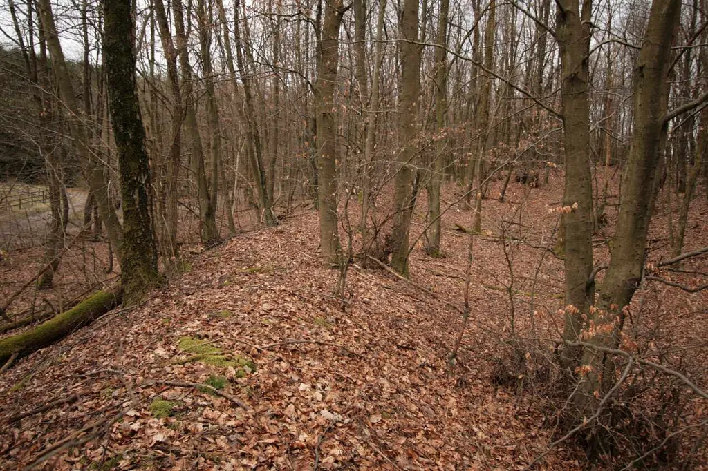 Wallburg Jäckelchen, Hauptwall, rechts Innenseite