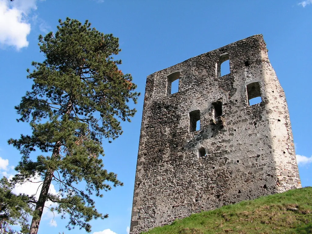 Dobrá Niva Castle