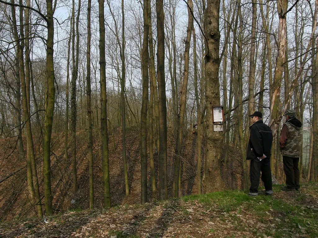 This is a photo of a cultural monument of the Czech Republic,number: