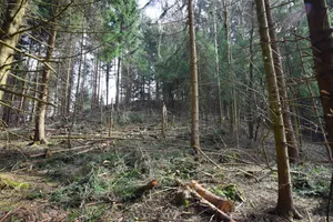 Furtbüel, bronze age and Hallstatt period hilltop settlement