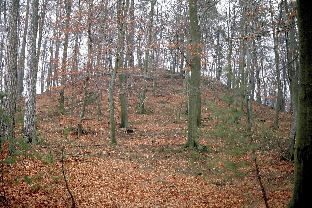 "Anselburg" bei Neuhemsbach