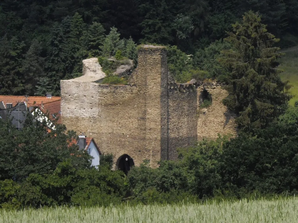 The castle of Wallrabenstein, Taunus, Germany. View from south-eastern direction.