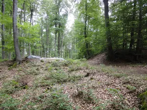 Alteburg Singhofen