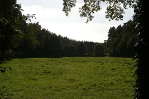 Nienburger Bruch