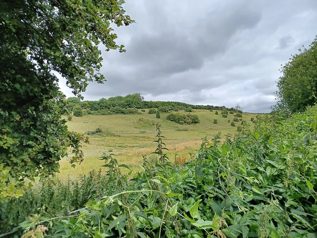 Roman road and 18th century coaching road N of Pyecombe church, on the side of Wolstonbury Hill. Pyecombe, West Sussex, England. Scheduled Monument. .mw-parser-output .messagebox{margin:4px 0;width:auto;border-collapse:collapse;border:2px solid var(--border-color-progressive,#6485d1);background-color:var(--background-color-neutral-subtle,#fbfcff);color:var(--color-base,#202122);box-sizing:border-box;border-inline-start-width:8px}.mw-parser-output .messagebox.mbox-small{font-size:88%;line-height:1.25em}.mw-parser-output .mbox-warning,.mw-parser-output .mbox-speedy{border:2px solid var(--border-color-error,#b22222);background:var(--background-color-error-subtle,#ffdbdb);border-inline-start-width:8px}.mw-parser-output .mbox-serious,.mw-parser-output .mbox-delete,.mw-parser-output .mbox-stop{border:2px solid var(--border-color-error,#b22222);border-inline-start-width:8px}.mw-parser-output .mbox-issue,.mw-parser-output .mbox-content{border:2px solid #f28500;background:var(--background-color-warning-subtle,#ffe);border-inline-start-width:8px}.mw-parser-output .mbox-query,.mw-parser-output .mbox-style{border:2px solid #f4c430;background:var(--background-color-warning-subtle,#ffe);border-inline-start-width:8px}.mw-parser-output .mbox-shit{border:2px solid #960;border-inline-start-width:8px}.mw-parser-output .mbox-license{border:2px solid #88a;border-inline-start-width:initial}.mw-parser-output .mbox-legal{border:2px solid var(--border-color-notice,#666);background:var(--background-color-base,#fff);border-inline-start-width:8px}.mw-parser-output .mbox-honor{border:2px solid #ca3;background:var(--background-color-warning-subtle,#fcf4db);border-inline-start-width:8px}.mw-parser-output .mbox-growth{border:2px solid #8d4;background:var(--background-color-success-subtle,#d5fdf4);border-inline-start-width:8px}.mw-parser-output .mbox-move{border:2px solid #93c;border-inline-start-width:8px}.mw-parser-output .mbox-protection,.mw-parser-output .mbox-message{border:2px solid var(--bor