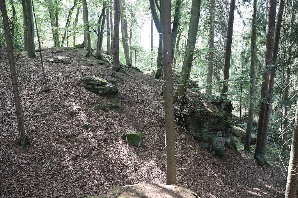 Ringwallanlage Alte Burg auf Sporn des Gehrenberges (Bodendenkmal 5830-0009)