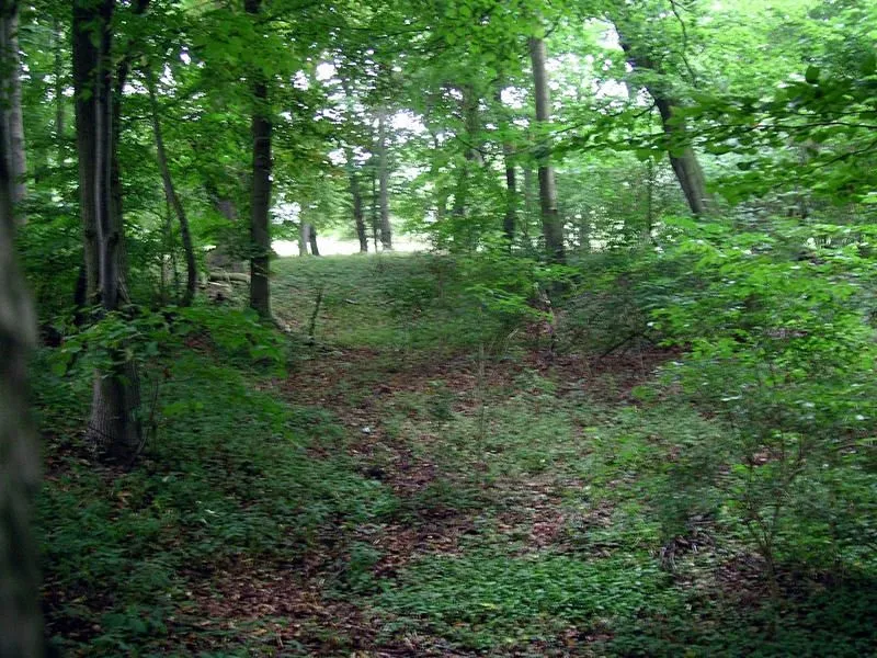 Blick vom Wall auf die Burg. Auf diesem Bild ist die Burg als slawische Wallburg am besten zu erkennen.