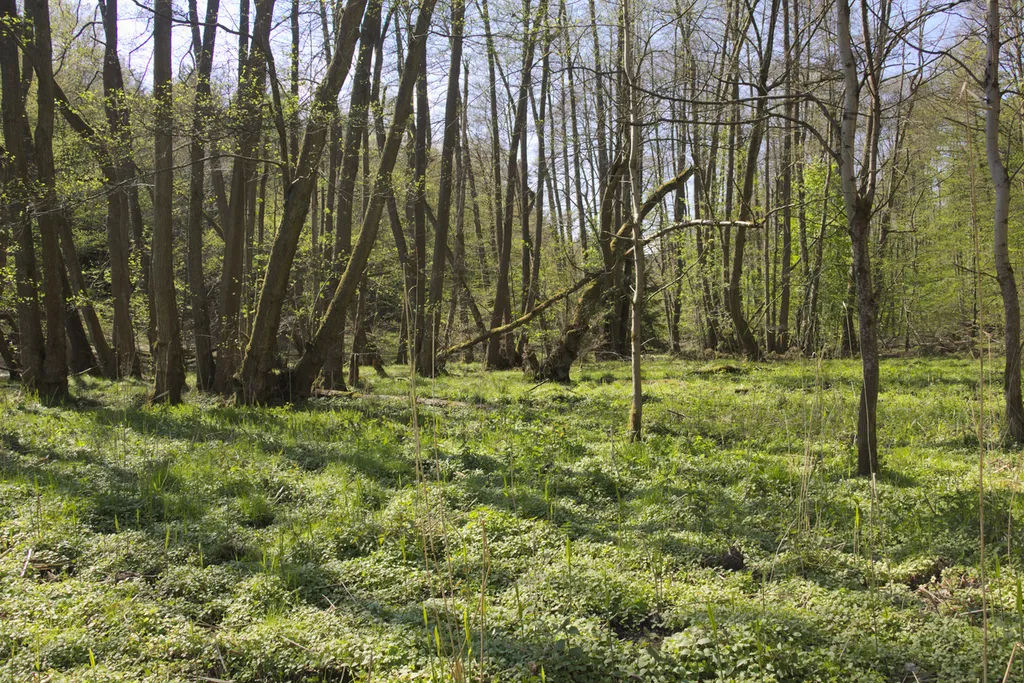 Naturschutzgebiet Rohrwiesenbachtal und Eisenberg bei Schlitz