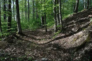 Burg Altraderach