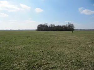 Burgwall Wust
