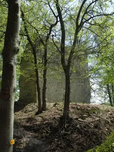 Burgruine Alter Turm Aach