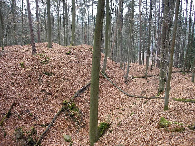 Burgstall Gutenfels (Haßberge). Halsgraben und Hauptburg nach Süden.