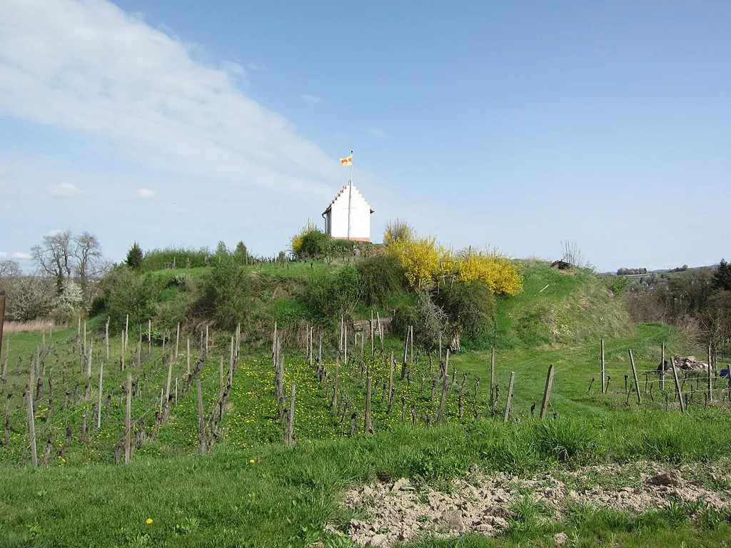 Kenzingen Castle, castle hill, view from south