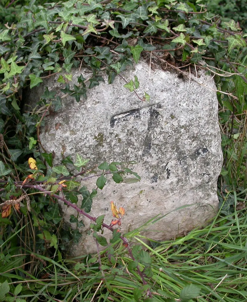 Old Milestone by the A337, Christchurch Road, Old Milton